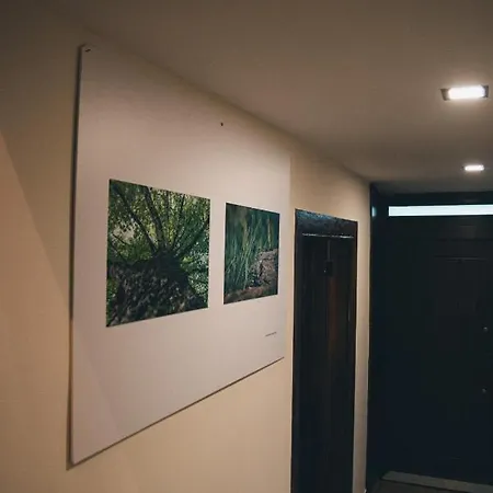 Casa Da Ribeira